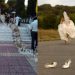 Αχαΐα: Νύφη το έσκασε λίγο πριν τον γάμο και άφησε τους καλεσμένους να περιμένουν στην εκκλησία