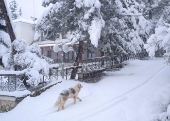 Η Μπιάνκα έντυσε στα λευκά τα ορεινά των Τρικάλων-Μαγικές εικόνες (video)