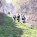 Έρευνες στο Ληθαίο για τον εντοπισμό του 63χρονου αγνοούμενου Παναγιώτη Γελαδάρη