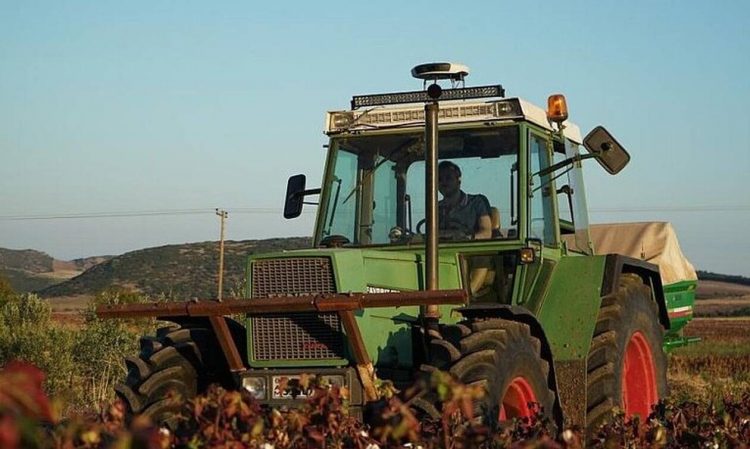 Αγροτικές επιδοτήσεις: Πότε θα δουν χρήματα στους λογαριασμούς τους οι δικαιούχοι