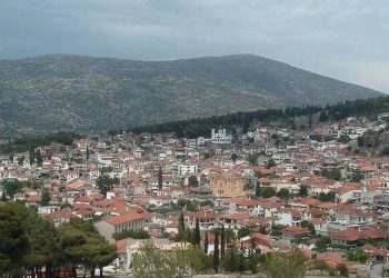 Δεσφίνα: Κωμόπολη με ιστορία και παράδοση