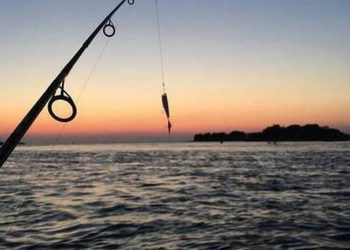 Πιτσιρικάς ψαράς έβγαλε «θηρίο» με πετονιά και έγινε Viral για απίθανο λόγο