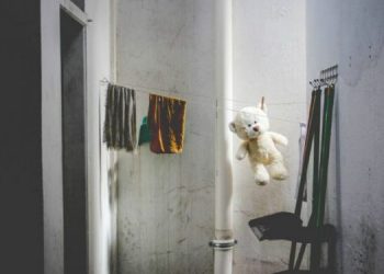 Δες βήμα βήμα πώς να καθαρίσεις αποτελεσματικά τα αγαπημένα λούτρινα των παιδιών σου