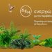 «Ημέρα της Γης»… Για 2η χρονιά η ΔΕΗ ηλεκτροδοτεί 4,4 εκατ. νοικοκυριά από ΑΠΕ