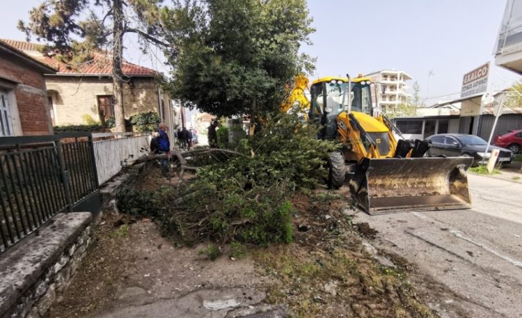 Πεζοδρόμια και διαμορφώσεις στην οδό Ηπείρου από τον Δ. Τρικκαίων