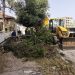 Πεζοδρόμια και διαμορφώσεις στην οδό Ηπείρου από τον Δ. Τρικκαίων