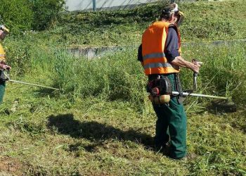 Δ. Τρικκαίων: Αλλαγή και προθεσμίες στη διάταξη για καθαρισμό οικοπέδων