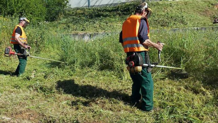 Δ. Τρικκαίων: Αλλαγή και προθεσμίες στη διάταξη για καθαρισμό οικοπέδων