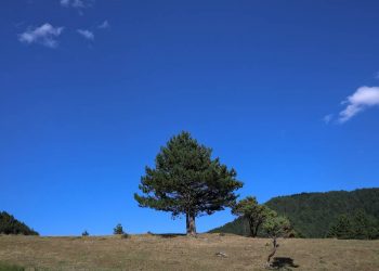 Σαμαρίνα: Το ψηλότερο χωριό των Βαλκανίων βρίσκεται στην Ελλάδα