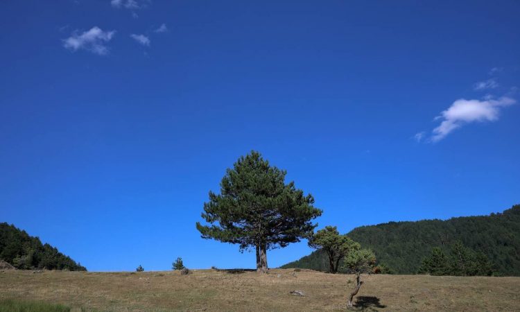Σαμαρίνα: Το ψηλότερο χωριό των Βαλκανίων βρίσκεται στην Ελλάδα