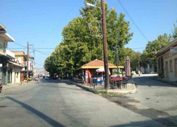 Παρέμβαση του ΚΚΕ στη Βουλή για τους σεισμόπληκτους επαγγελματίες του Δήμου Φαρκαδόνας