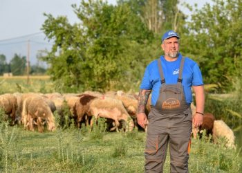 Τρίκαλα: Κτηνοτρόφοι πουλούν και σφάζουν τα ζώα τους καθώς αδυνατούν να ανταπεξέλθουν στα βαριά έξοδα και στις αυξήσεις