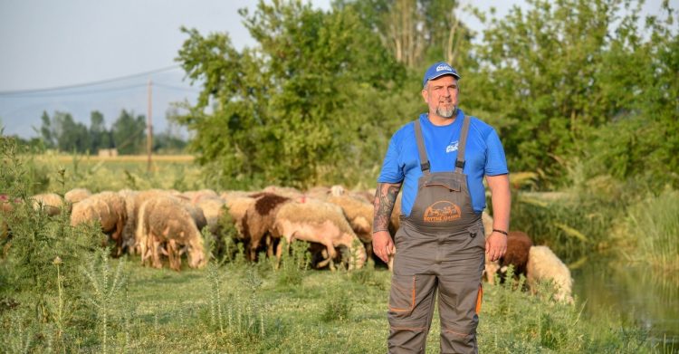 Τρίκαλα: Κτηνοτρόφοι πουλούν και σφάζουν τα ζώα τους καθώς αδυνατούν να ανταπεξέλθουν στα βαριά έξοδα και στις αυξήσεις