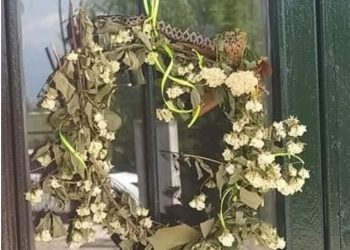 Πανικός στους Ταξιάρχες και στο νηπιαγωγείο της κοινότητας από την εμφάνιση οχιάς