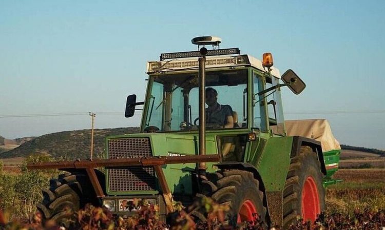 ΟΠΕΚΕΠΕ: Ευχάριστα νέα για τους αγρότες – Άμεσες επιδοτήσεις μέσω gov.gr