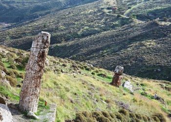Μυτιλήνη: Ο παράδεισος των άγριων ορχιδέων στο Πάρκο του Απολιθωμένου Δάσους