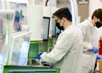 ECDC για την ευλογιά των πιθήκων: Τι πρέπει να κάνουμε αν μολυνθούμε