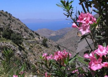 Ηράκλειο: Το μονοπάτι των βοτάνων στο Καβούσι