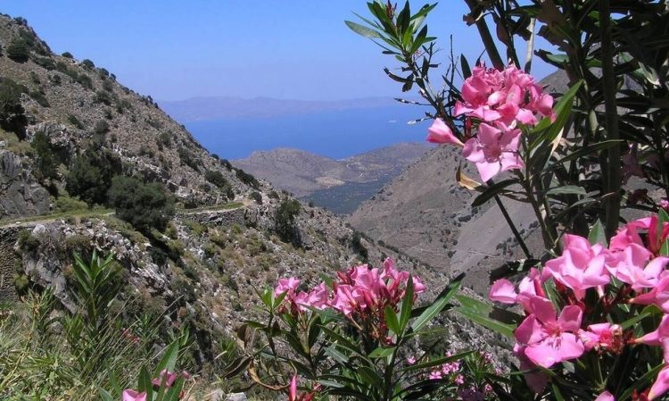 Ηράκλειο: Το μονοπάτι των βοτάνων στο Καβούσι