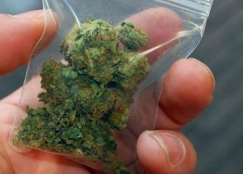 Συνελήφθη στα Τρίκαλα για κατοχή κάνναβης
