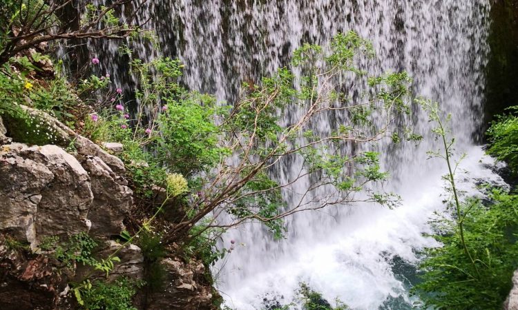 Τρίκαλα: Ο καταρράκτης της Παλαιοκαρυάς – Μια μοναδική διαδρομή χαλάρωσης και ηρεμίας