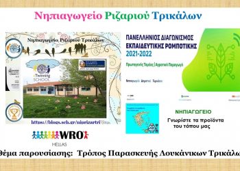 Διάκριση του Νηπιαγωγείου Ριζαριού στον Πανελλήνιο Διαγωνισμό Ρομποτικής WRO Hellas