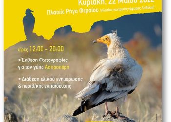 Υπαίθρια έκθεση φωτογραφίας στα Τρίκαλα για τον γύπα Ασπροπάρη