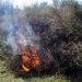Ενημέρωση της Πυροσβεστικής Υπηρεσίας για την χρήση φωτιάς το καλοκαίρι