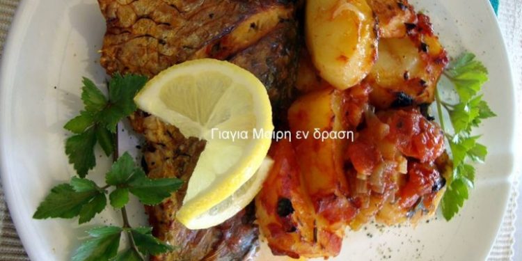 Κυπρίνος ή Γριβάδι Πλακί