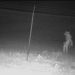 ΗΠΑ: Απόκοσμο πλάσμα εντοπίστηκε έξω από ζωολογικό κήπο