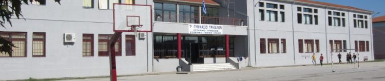 Δεύτερο βραβείο για το 1ο Γυμνάσιο Τρικάλων στο διεθνή σχολικό διαγωνισμό RE-EDUCO