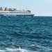 Καβάλα: Χτυπημένη γυναίκα ζήτησε να μπει στο πλοίο, όμως ο καπετάνιος δεν το επέτρεψε