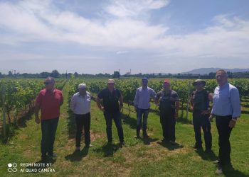 Αρμόδια κλιμάκια επισκέφθηκαν την περιοχή του Πρίνους που υπέστη ζημιές από χαλαζόπτωση