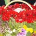 Την Παρασκευή 10/6 τα βραβεία για τις «Λαζαρίνες 2022»