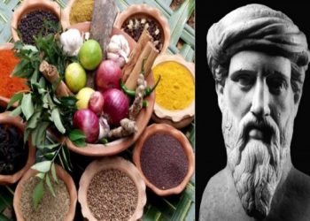 Πώς φτάσαμε από την Πυθαγόρειο Διατροφή στο σήμερα
