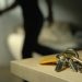 Άνοια: Το να ξεχνάτε κάποια πράγματα συμβαίνει σε όλους. Αν όμως σας συμβεί αυτό, πηγαίνετε σε νευρολόγο!