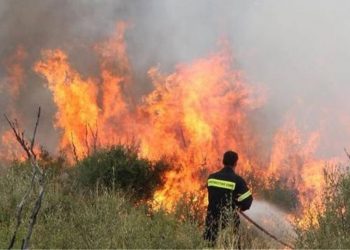 Ενημέρωση της πυροσβεστικής για την χρήση φωτιάς το καλοκαίρι