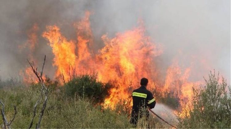 Ενημέρωση της πυροσβεστικής για την χρήση φωτιάς το καλοκαίρι