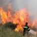 Ενημέρωση της πυροσβεστικής για την χρήση φωτιάς το καλοκαίρι