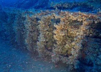 Αιγαίο: Στο φως άγνωστο ναυάγιο δυτικά της Κύθνου – Δείτε εντυπωσιακές εικόνες
