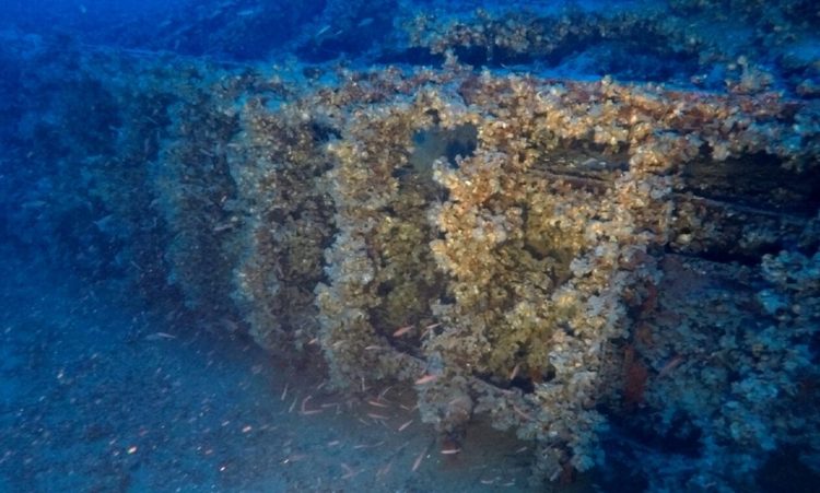 Αιγαίο: Στο φως άγνωστο ναυάγιο δυτικά της Κύθνου – Δείτε εντυπωσιακές εικόνες