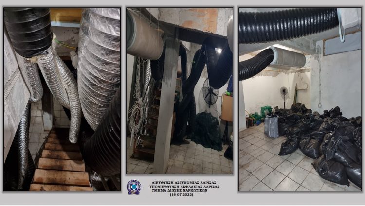 Είχαν στήσει εγκατάσταση υδροπονικής καλλιέργειας κάνναβης σε περιοχή του Δήμου Αγιάς