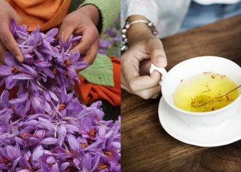 7 εντυπωσιακά οφέλη που παρέχει στην υγεία ο κρόκος Κοζάνης