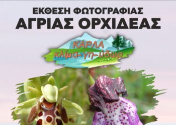 Φωτογραφική έκθεση για το περιβάλλον με επίκεντρο την ορχιδέα, στο Μουσείο Τσιτσάνη