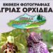 Φωτογραφική έκθεση για το περιβάλλον με επίκεντρο την ορχιδέα, στο Μουσείο Τσιτσάνη