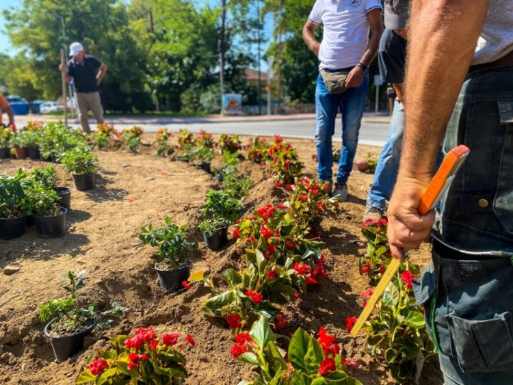 Χρώματα και άνθη στους νέους κυκλικούς κόμβους περιοχής ΟΣΕ στα Τρίκαλα