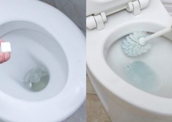 Καθαρίστε άλατα και βρωμιές από τη λεκάνη της τουαλέτας με ένα σπιτικό καθαριστικό, πιο δυνατό από τα χημικά