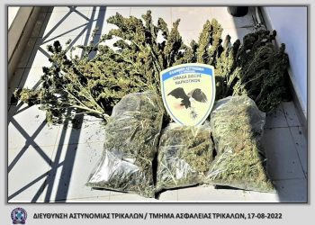 Συλλήψεις για κατοχή κάνναβης στα Τρίκαλα