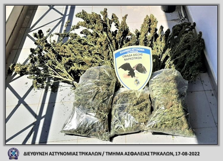 Συλλήψεις για κατοχή κάνναβης στα Τρίκαλα