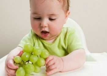 Έτσι πρέπει να κόβετε τα σταφύλια για να αποφύγετε την πνιγμονή του παιδιού σας